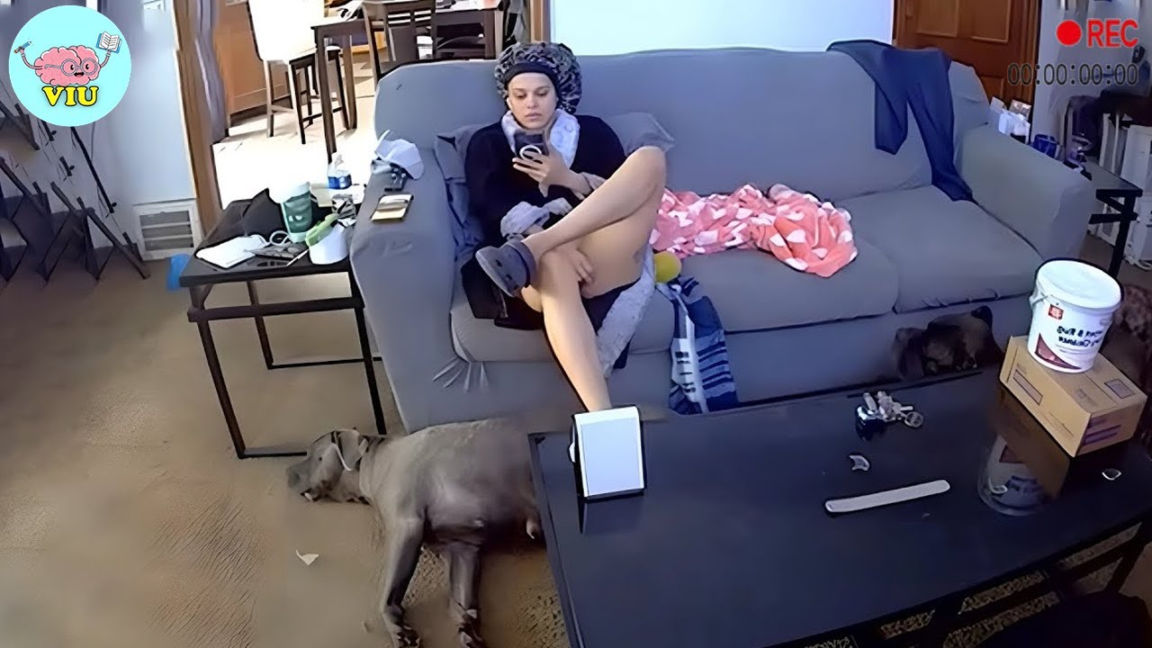 100 Incredible Moments Caught on Camera #16 | Best of the Month