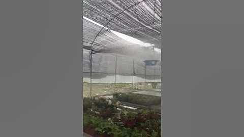 greenhouse humidification