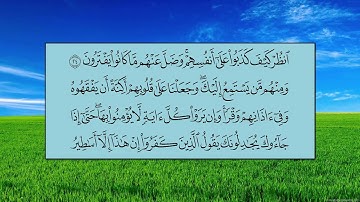 سورة الأنعام (الآية 19 ~ الآية 32) - ياسر بن راشد الدوسري