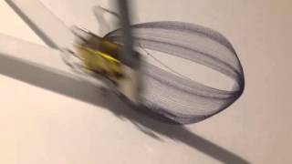 Drawing Machine. Harmongraph