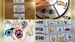 انشطة للاطفال عن الحواس الخمسة + نماذج للطباعة Five senses activities for kids 👃👅👂🖐👁