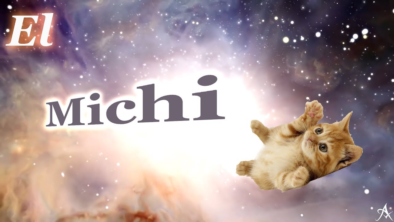 Avidia | "El Michi" (Original Song)