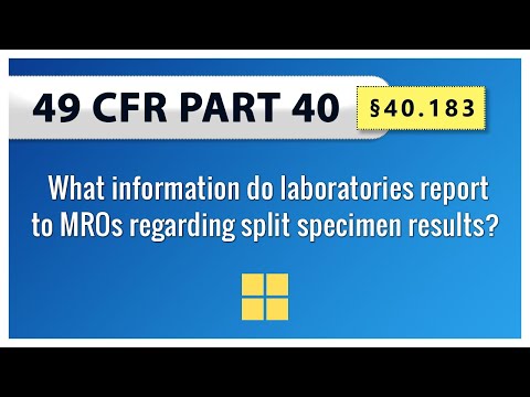 §40.183 What information