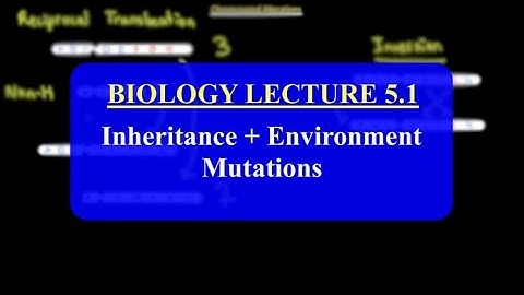 IMAT Biology Lesson 5.1 | Inheritance + Environment | Mutations