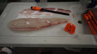 How to SKIN a HALIBUT FILLET! - KastKing How To Fillet A Halibut Easy Method Kastking