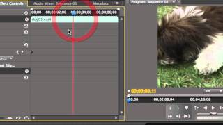 Keyframing - Adobe Premiere Pro CS5 Video Tutorials