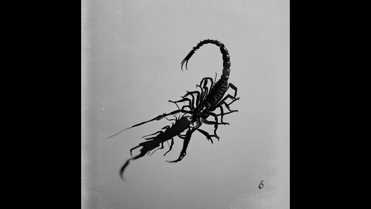 Tasha Safari - Scorpio Rising [Premiere I TS001]