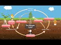 The nitrogen cycle