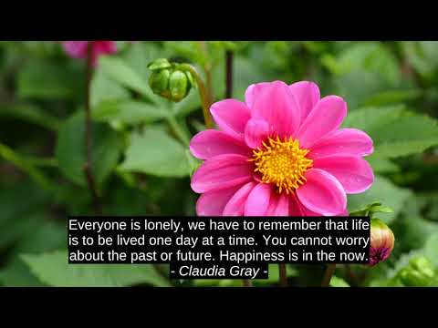 7 Top Motivation