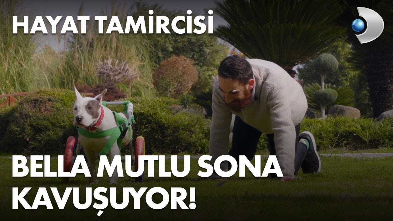 Bella mutlu sona kavuşuyor! - Hayat Tamircisi 6. Bölüm