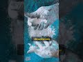 ШЇШ Ші ШІЩ ШЇЪЇЫЊ ЩѕЫЊШ Щ Ш ШЇ ШЇШ Щ Ш рџЋ рџ ЊрџЏ ШЇШ Ші ШІЩ ШЇЪЇЫЊ ЩѕЫЊШ Щ Ш ШЇ ШЇШ Щ Ш рџЋ рџ ЊрџЏ