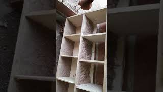 Início De Postura Das Glz