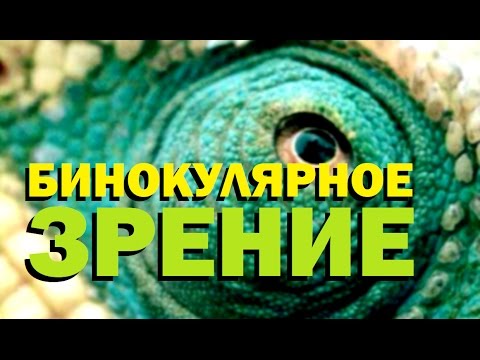 Галилео. Бинокулярное зрение 🙈 Binocular vision