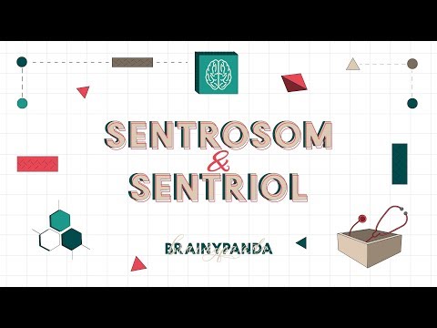 Video: Perbedaan Antara Sentrosom Dan Sentromer