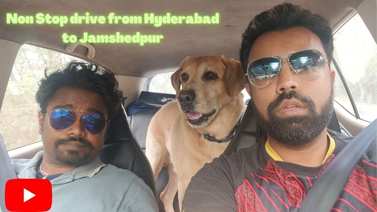 Hyderabad to Jamshedpur Non stop drive with Pet Dog. Part 1 YouTube