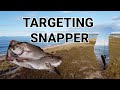 Nz surfcasting targeting snapper  night mission  blackmagic shimanodjimavicmini