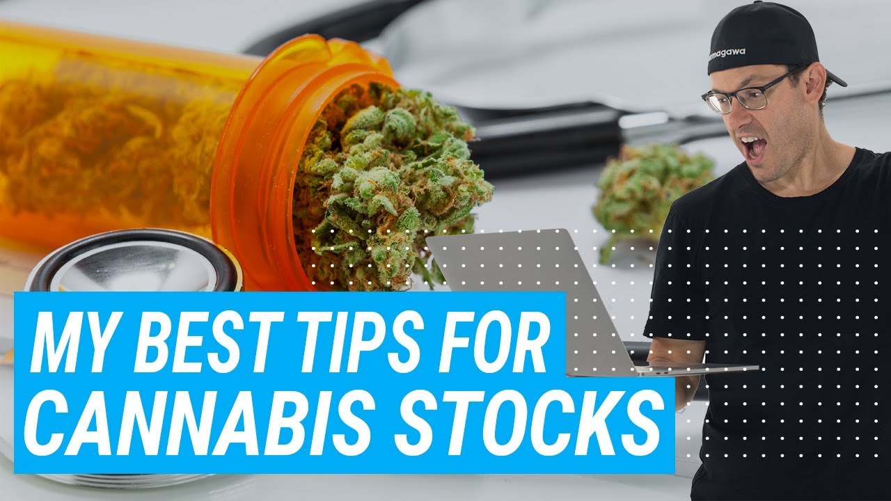 My Best Tip For Trading Penny Cannabis Stocks on The Rise - YouTube