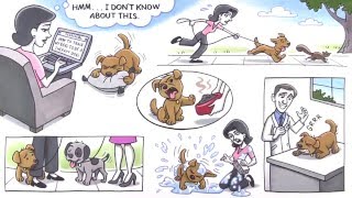 Explainer Whiteboard Animation Video | What a Nice Dog