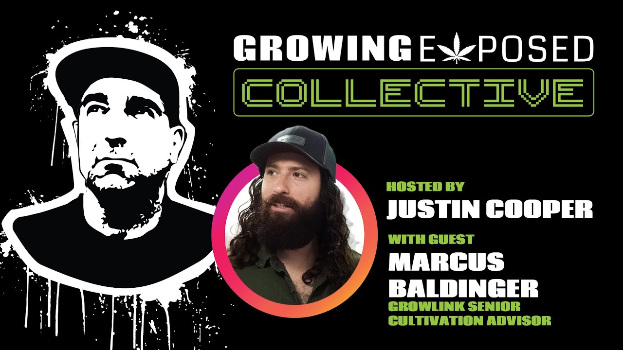 Justin X Marcus Baldinger | Senior Cultivation Advisor of GrowLink