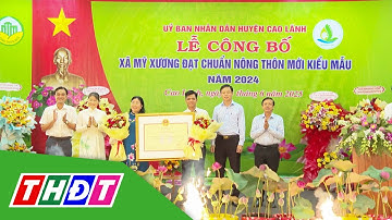 Huyện Cao Lãnh: Xã Mỹ Xương đạt chuẩn Nông thôn mới kiểu mẫu | THDT