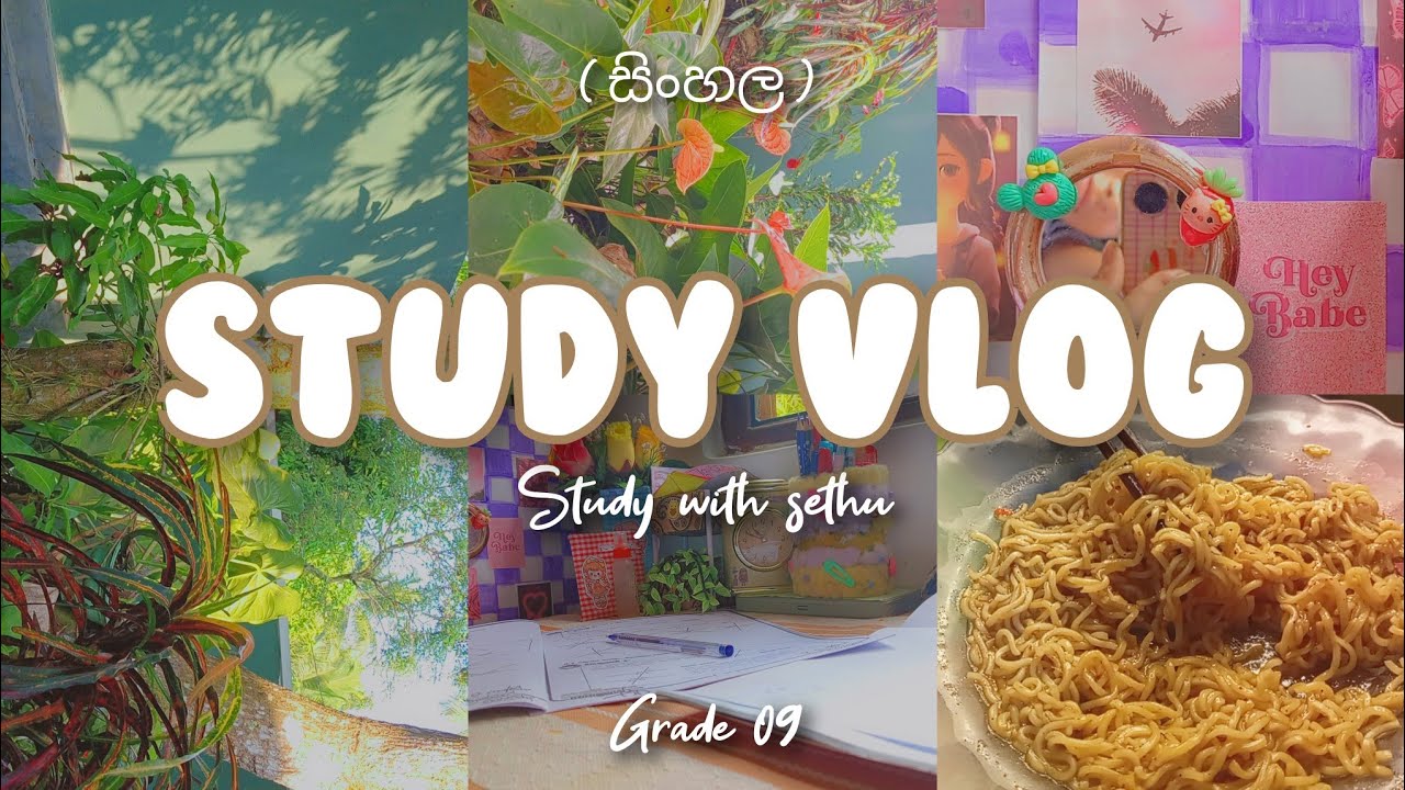 🌷💗 ⓢⓣⓤⓓⓨ ⓥⓛⓞⓖ🌜🙊 { සිංහල } 𝐠𝐫𝐚𝐝𝐞 𝟎𝟗  vlog by sethu 📝💗 #studyvlog #grade09