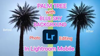 How to Edit Palm Tree with Blue Sky Background Photo in Lightroom Mobile | Nature Photography screenshot 4