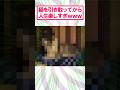 【2ch面白いスレ】猫引き取ったら人生最高すぎた#2ch #2ch面白いスレ