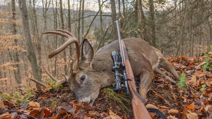 2025 NY Opening Day of Rifle Season | SELF FILMED