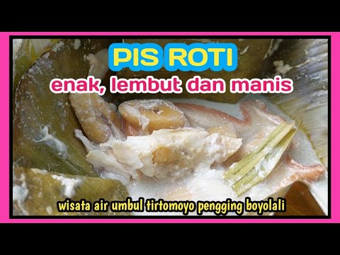 MENIKMATI MANIS DAN LEMBUTNYA PIS ROTI DI WISATA AIR UMBUL PENGGING ...
