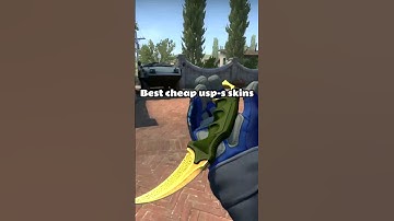 The best cheap usp-s skins #csgo #csgoclips #csgomoments #csgohighlights #csgoskins