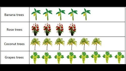 4th std / Maths / lesson no 15 / Pictographs