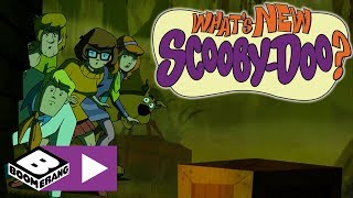 Scooby Doo Maceraları | Timsahköy | Boomerang