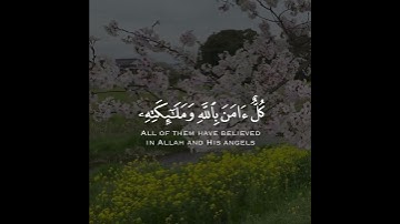 القارئ : عبدالعزيز الغويري " رحمه الله ".