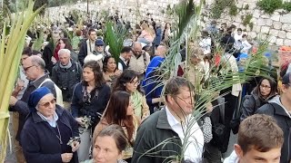 Palm Sunday - 2024 / أجواء أحد الشعانين في القدس