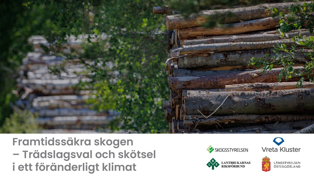 Framtidssäkra skogen – Trädslagsval och skötsel i ett föränderligt klimat