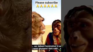 #monkey #content #video