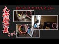 【寸劇】ホテルでおばけが！？心霊写真ごっこで遊んだよ！❤︎きらりゆう❤︎