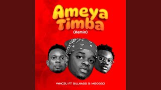Ameyatimba (Remix)