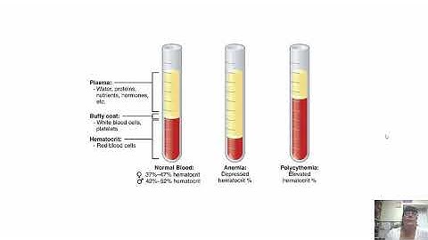 Blood Chapter 18 Part 1
