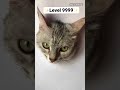 Realistic cat drawing techniques  shorts art viral