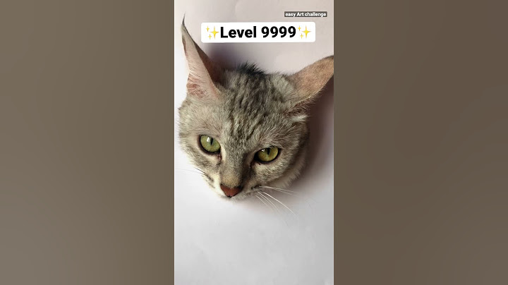 Realistic Cat Drawing Techniques 🎨 #shorts #art #viral