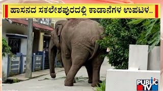 ಮಠಸಾಗರ ಗ್ರಾಮಕ್ಕೆ ಆಹಾರ ಅರಸಿ ಬಂದ ಕಾಡಾನೆಗಳು..! | Sakaleshpura | Public TV