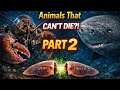 3 Animals That Might Be Immortal (Part 2) ☠️ Scientists Are Shocked #youtubevideo #lobster #shark