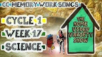 CC Cycle 1 Week 17 Science: Parts of a Volcano