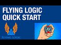 Flying Logic Quick Start