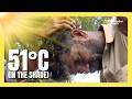 People endure 51°C as prolonged heat wave scorches Pakistan