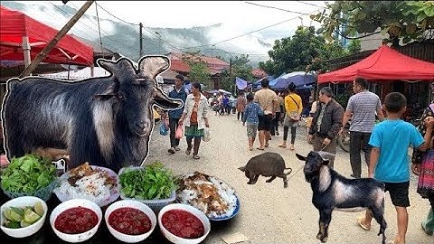 TRỰC TIẾP CHỢ VÙNG CAO CỐC LY - TOÀN DÊ NÚI, LỢN CẮP NÁCH,ẨM THỰC DÂN TỘC HẤP DẪN