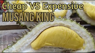 Cheap VS Expensive Musang King