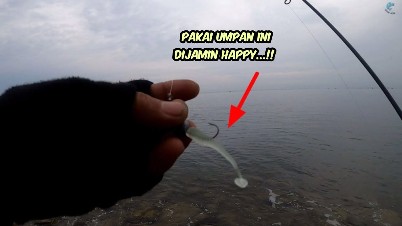 SOFT LURE + JIG HEAD UNTUK CASTING DI KARANG DANGKAL
