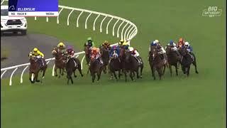 QUINTESSA | PROSIR PLATE 2025 